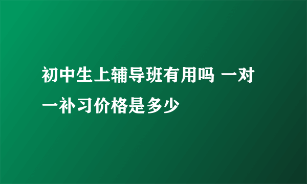 初中生上辅导班有用吗 一对一补习价格是多少