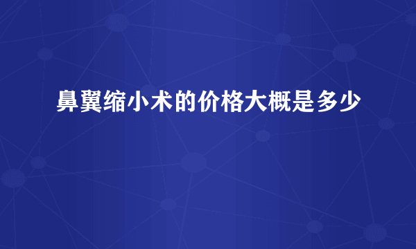 鼻翼缩小术的价格大概是多少