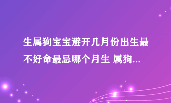 生属狗宝宝避开几月份出生最不好命最忌哪个月生 属狗的几月出生最不好犯月