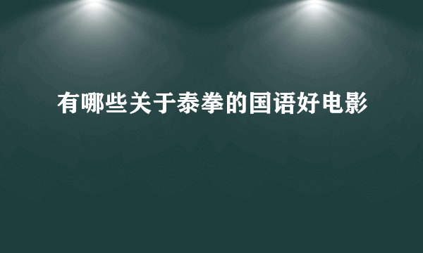 有哪些关于泰拳的国语好电影