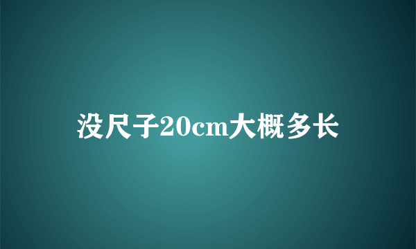 没尺子20cm大概多长