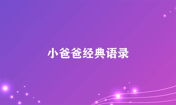 小爸爸经典语录