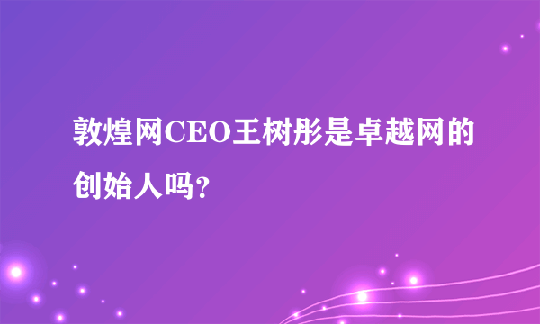 敦煌网CEO王树彤是卓越网的创始人吗？