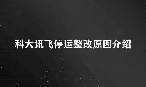 科大讯飞停运整改原因介绍