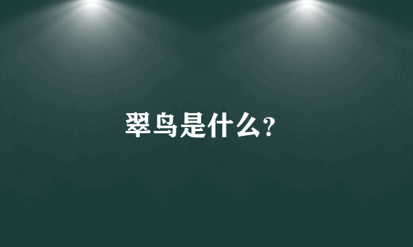 翠鸟是什么？