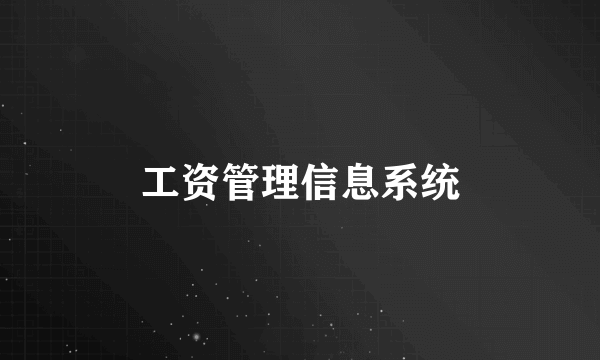 工资管理信息系统