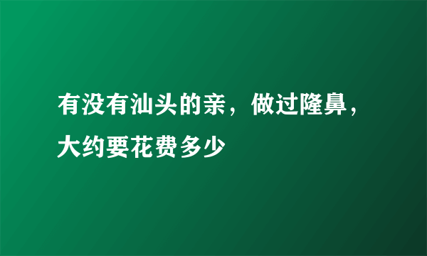 有没有汕头的亲，做过隆鼻，大约要花费多少