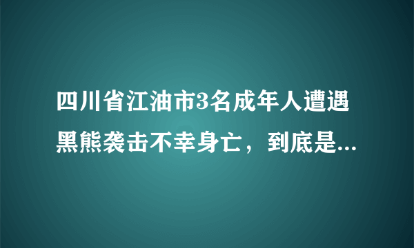 四川省江油市3名成年人遭遇黑熊袭击不幸身亡，到底是怎么回事？