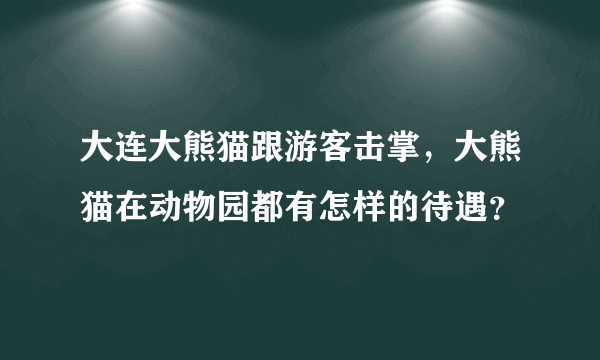 大连大熊猫跟游客击掌，大熊猫在动物园都有怎样的待遇？