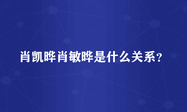 肖凯晔肖敏晔是什么关系？