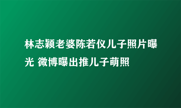 林志颖老婆陈若仪儿子照片曝光 微博曝出推儿子萌照