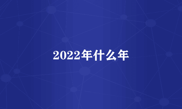 2022年什么年