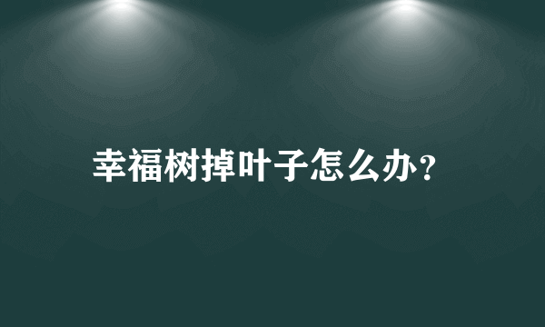 幸福树掉叶子怎么办？