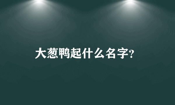 大葱鸭起什么名字？