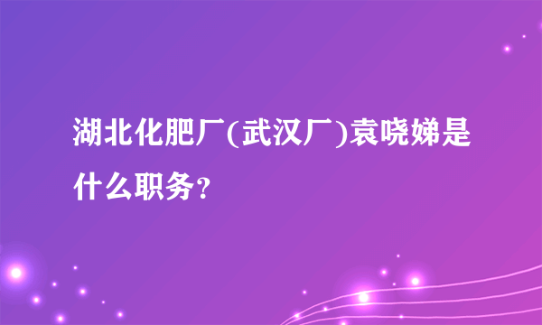 湖北化肥厂(武汉厂)袁哓娣是什么职务？