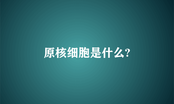 原核细胞是什么?