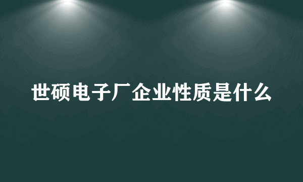 世硕电子厂企业性质是什么