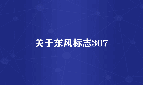 关于东风标志307