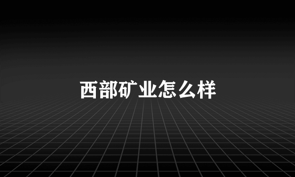 西部矿业怎么样