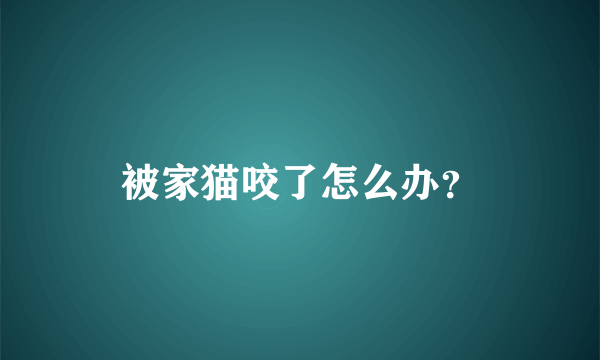 被家猫咬了怎么办？