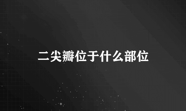 二尖瓣位于什么部位