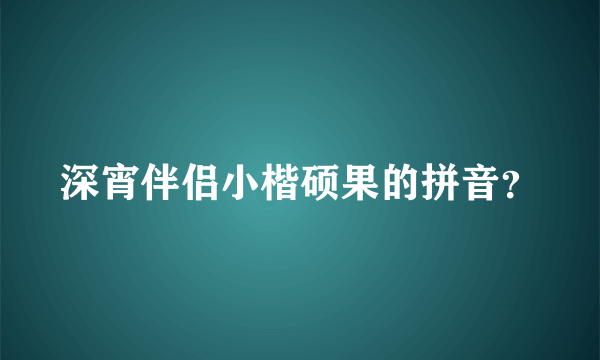 深宵伴侣小楷硕果的拼音？